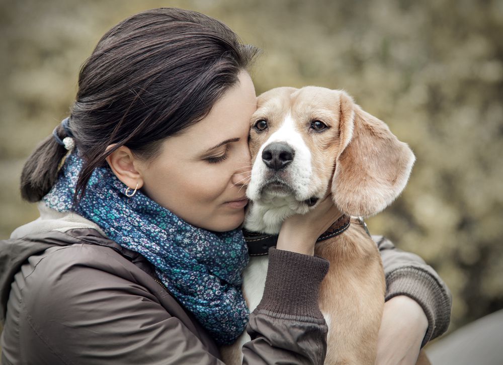 Prolonging the Paws: A Glimpse into the Future of Canine Longevity